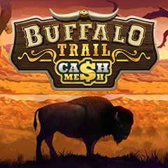 Buffalo Trail