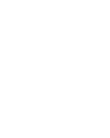 Brasileirao
